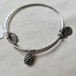 Alex and Ani Pinecone Bracelet